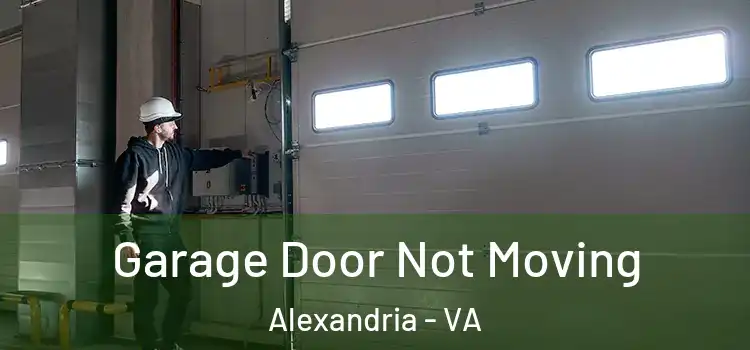  Garage Door Not Moving Alexandria - VA