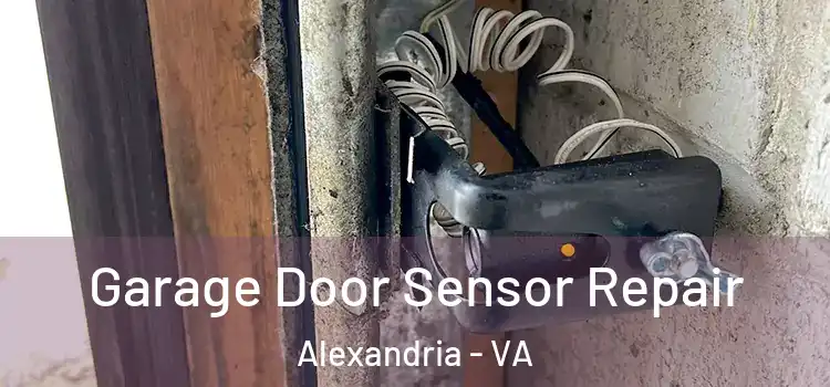 Garage Door Sensor Repair Alexandria - VA