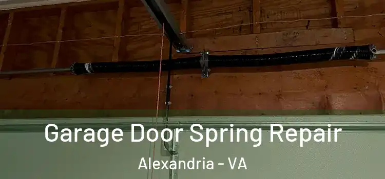  Garage Door Spring Repair Alexandria - VA