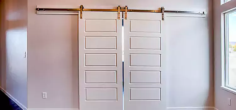 Glass Barn Door with Installation Hardware Kit Alexandria