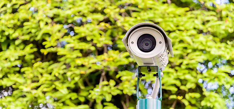Advanced Surveillance Solutions for Every Need in Alexandria
