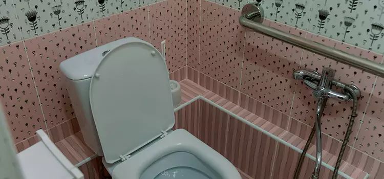 Meeting Diverse Needs With Accessible Restroom Solutions in Alexandria, VA