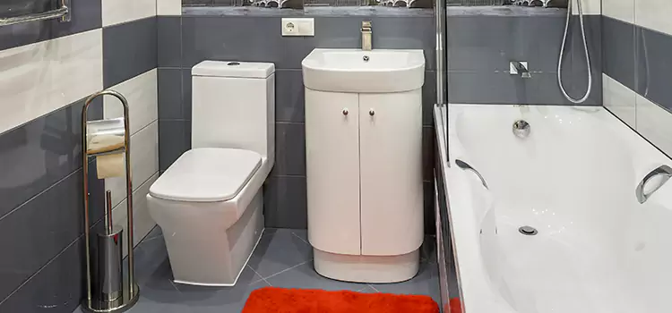 Hansgrohe Shaving Mirror Alexandria